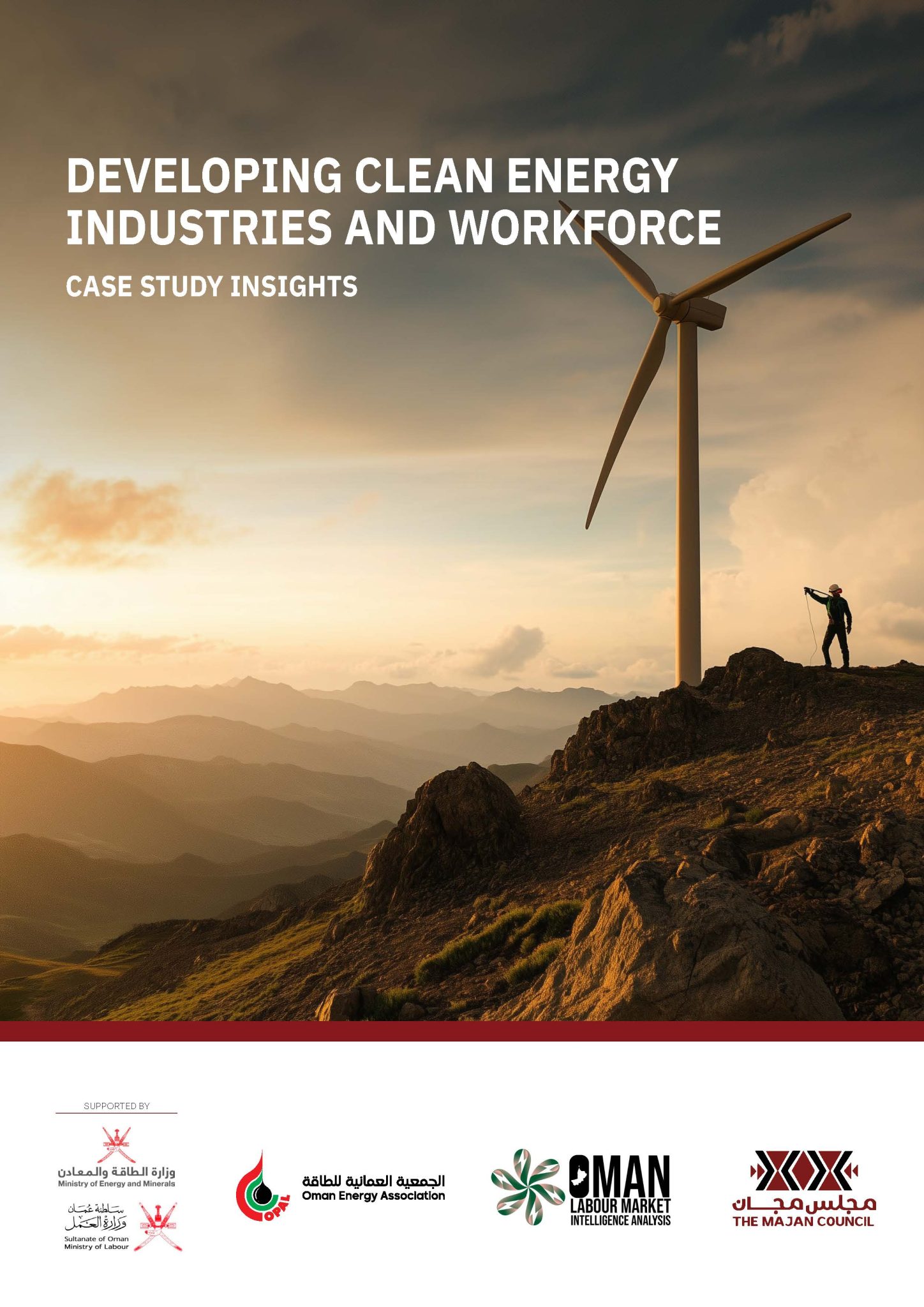 Developing Clean Energy Industries and Workforce: Case Study Insights ...