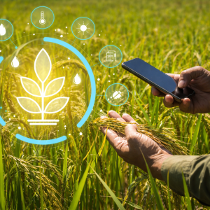 Solar Agriculture for Competitive Markets