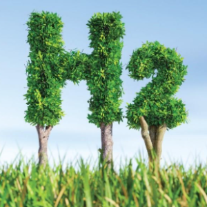 Local Hydrogen Market